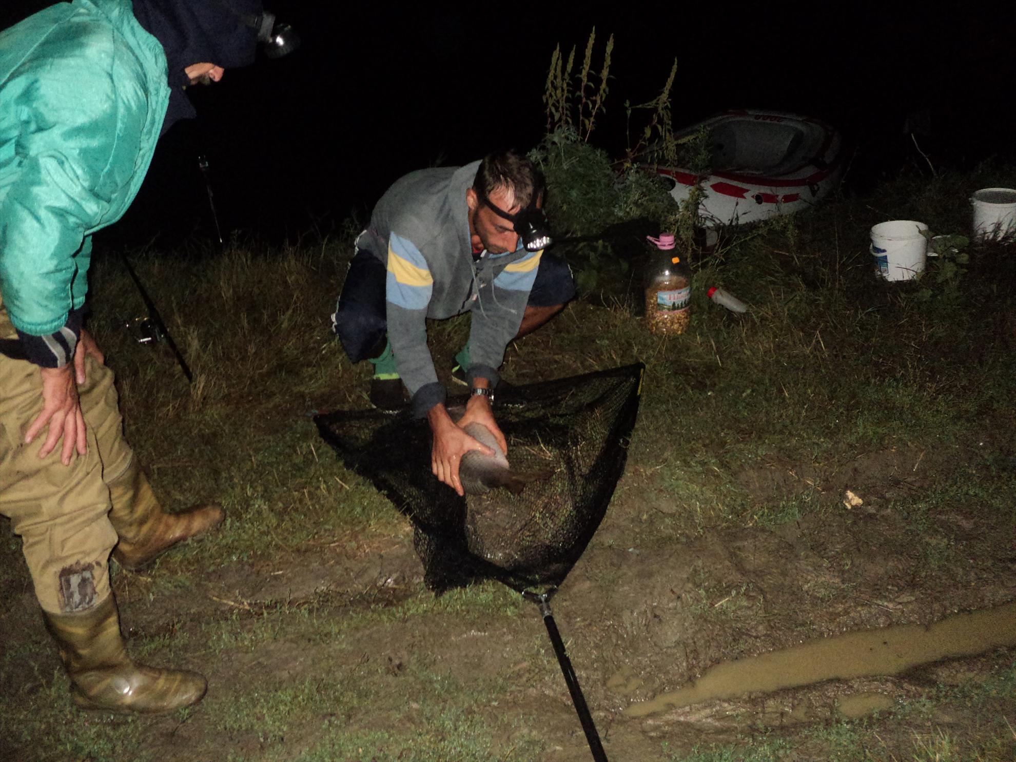 o mica parte din pesti de anul trecut - dsc01904.JPG